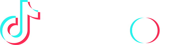 TikTok Creative Partner